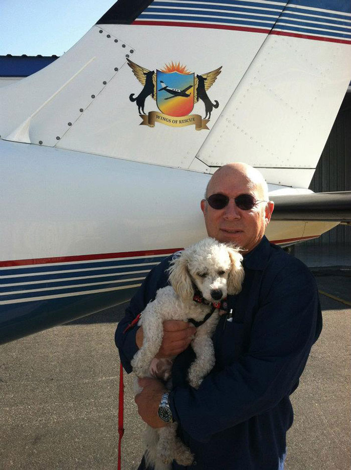 pilotos-voluntarios-salvan-perros-16