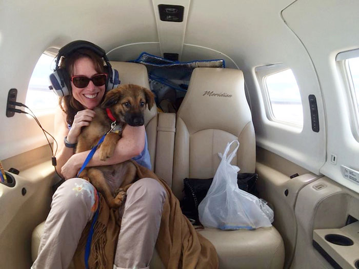 pilotos-voluntarios-salvan-perros-4