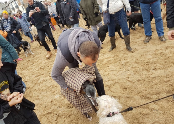 cientos-de-personas-acompanan-a-perro-ultimo-paseo8