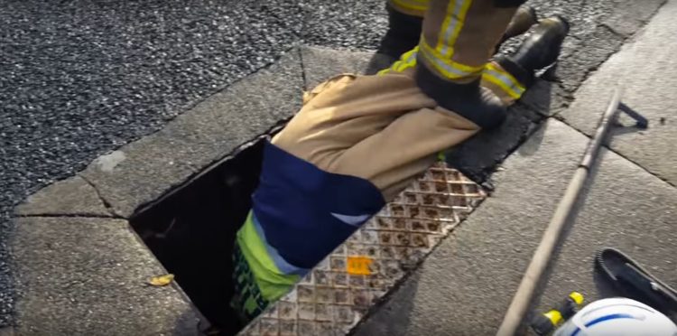 bomberos-rescatan-patitos-atrapados-en-el-desague-reuniendolos-con-su-madre-3