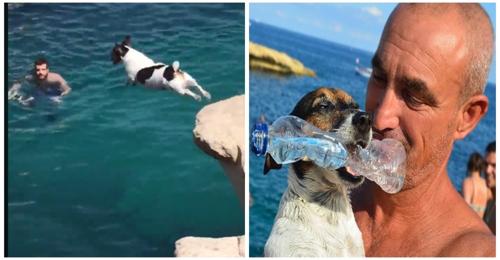 Titti, la perrita que tenía miedo al acantilado hasta que saltó porque su dueño se lanzó primero Titti, la perrita que tenía miedo al acantilado hasta que saltó porque su dueño se lanzó primero