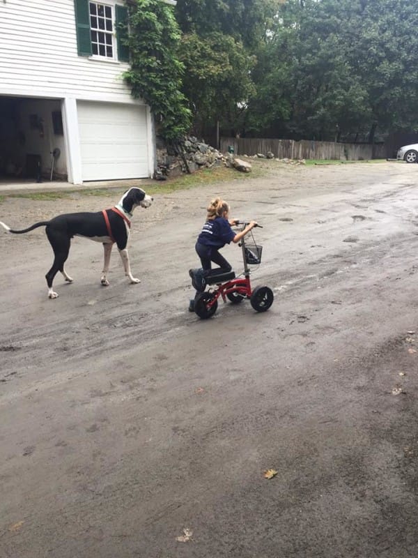 bella-burton-puede-andar-gracias-a-la-ayuda-de-su-perro-y-gran-amigo-george-13