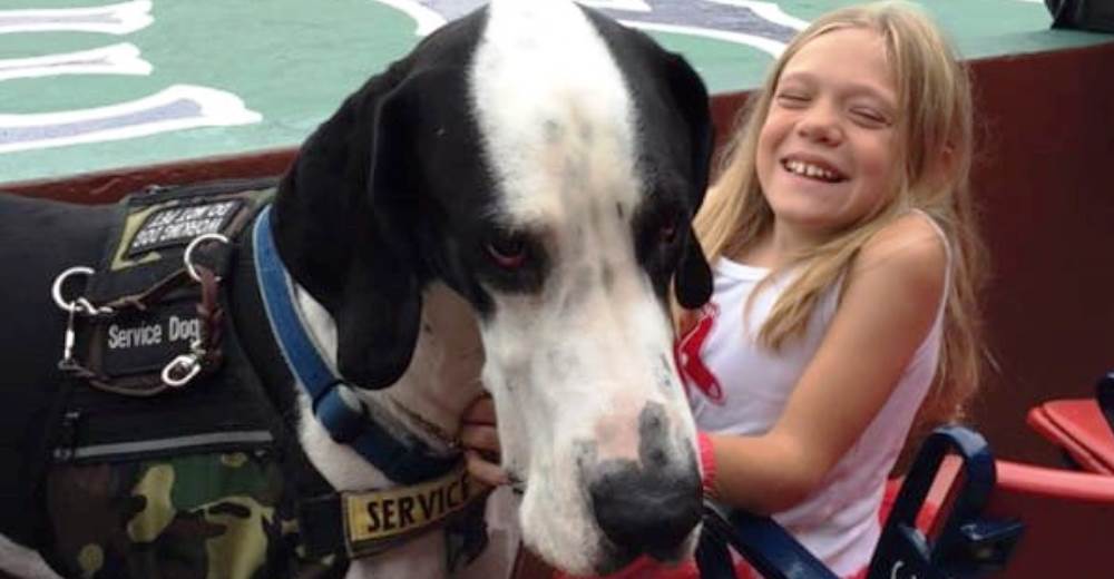 Este gran perro se convirtió en un ángel para Bella y así fue cambiando por completo su vida Este gran perro se convirtió en un ángel para Bella y así fue cambiando por completo su vida