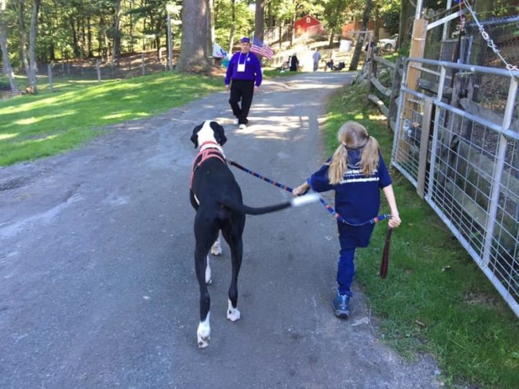 bella-burton-puede-andar-gracias-a-la-ayuda-de-su-perro-y-gran-amigo-george-8