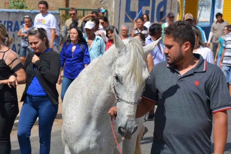 sereno-caballo-llora-funeral-brasil-01