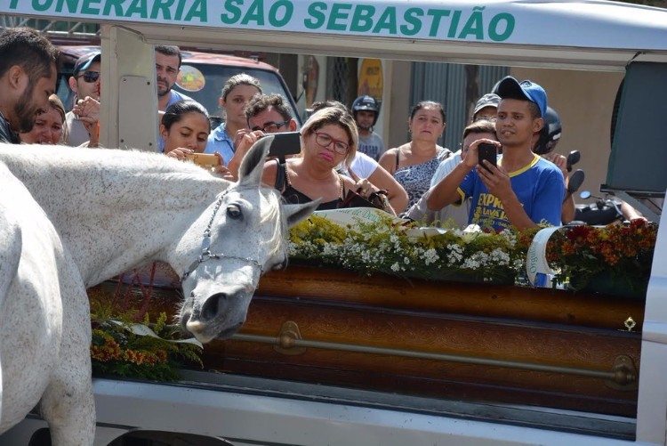 sereno-caballo-llora-funeral-brasil-03