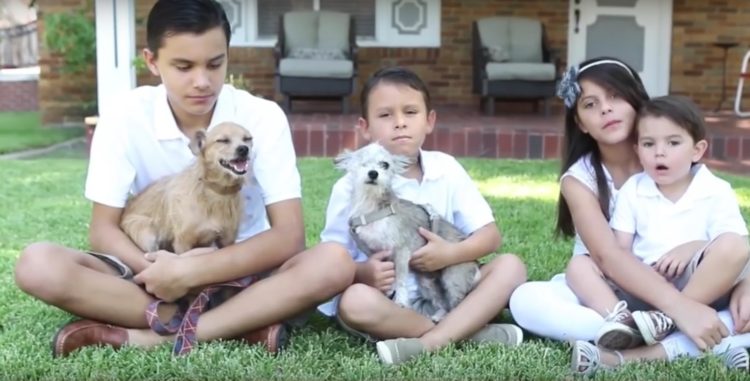 su-perro-aparecio-despues-de-6-anos-pero-no-estaba-solo-y-su-familia-adopto-a-su-amigo-6