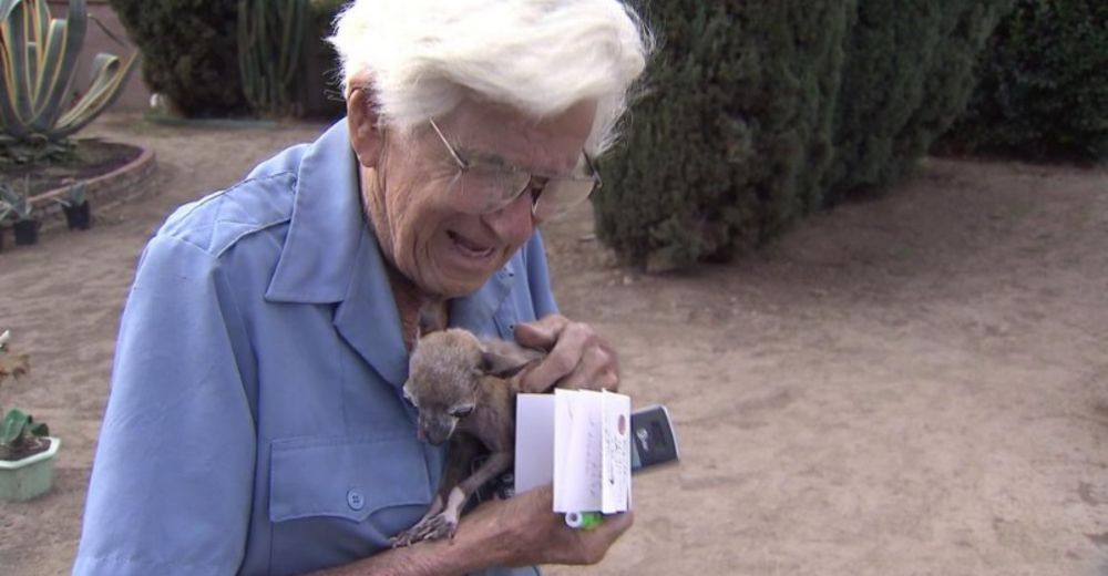 Este hombre de 93 años pensó que jamás volvería a ver a su perrita y finalmente se reencontraron