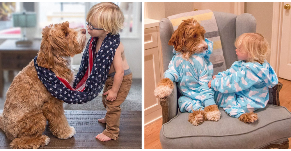 La conmovedora historia detrás de la aparente simple amistad entre un niño y un perro La conmovedora historia detrás de la aparente simple amistad entre un niño y un perro