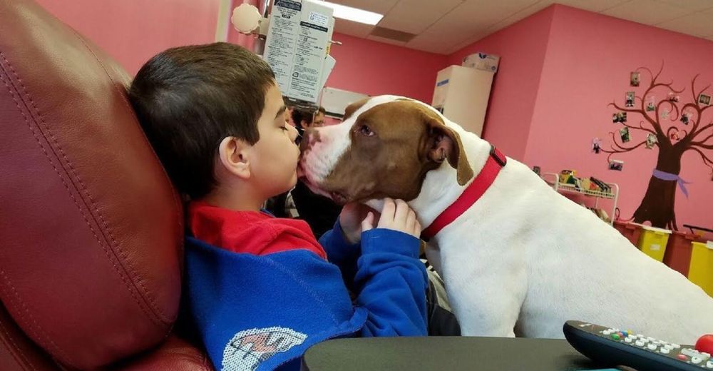 Nadie quería adoptarla y ahora se convirtió en una heroína para los pacientes con cáncer