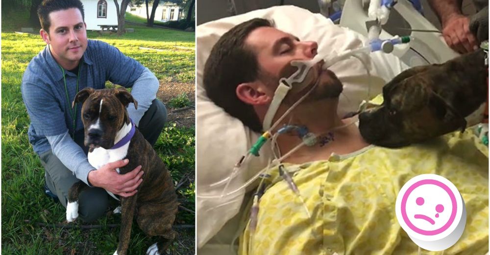 No podrás contener la emoción al ver el último adiós de Ryan y su amada perrita Molly No podrás contener la emoción al ver el último adiós de Ryan y su amada perrita Molly