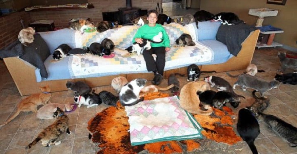La llaman «la loca de los gatos», la mujer que convirtió su casa en un gran refugio