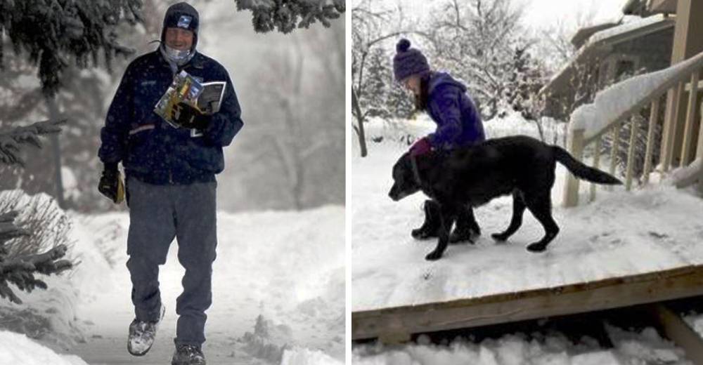 El hermoso gesto de este cartero cambió la vida de Tashi, el perro que conquistó su corazón