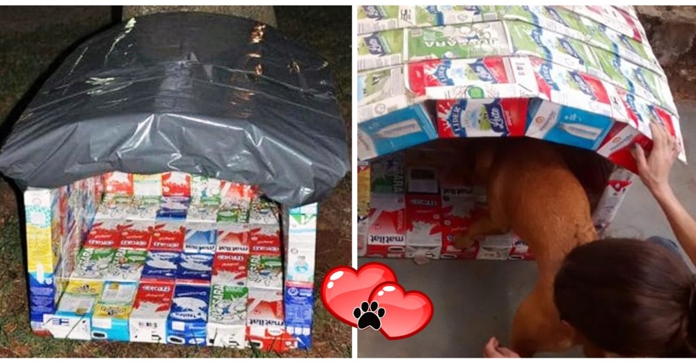 Ella no podía comprarle una casa a Nina, pero hizo algo extraordinario para ayudarla
