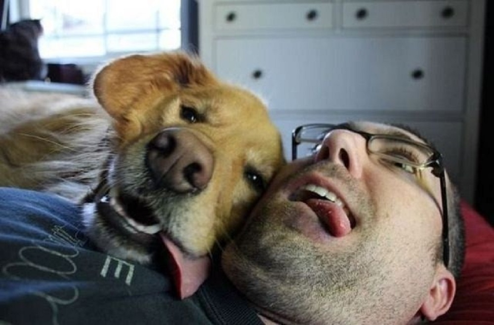 Después de ver estas 18 imágenes querrás vivir para siempre junto a un perro