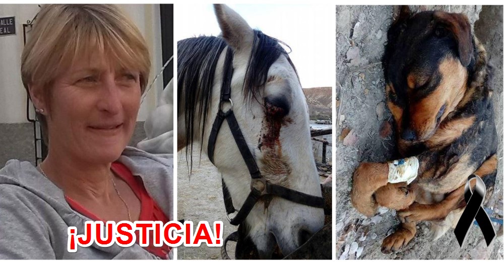 Ella prohibió la caza en su finca y atentaron contra sus inocentes animales rescatados Ella prohibió la caza en su finca y atentaron contra sus inocentes animales rescatados