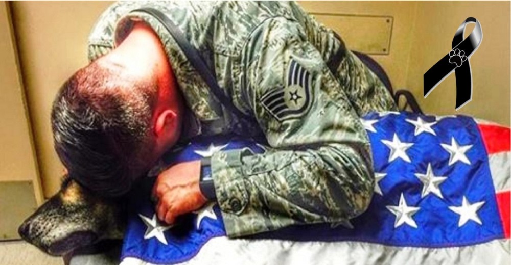 Kyle, el soldado que acompañó a su leal perro hasta su último suspiro Kyle, el soldado que acompañó a su leal perro hasta su último suspiro