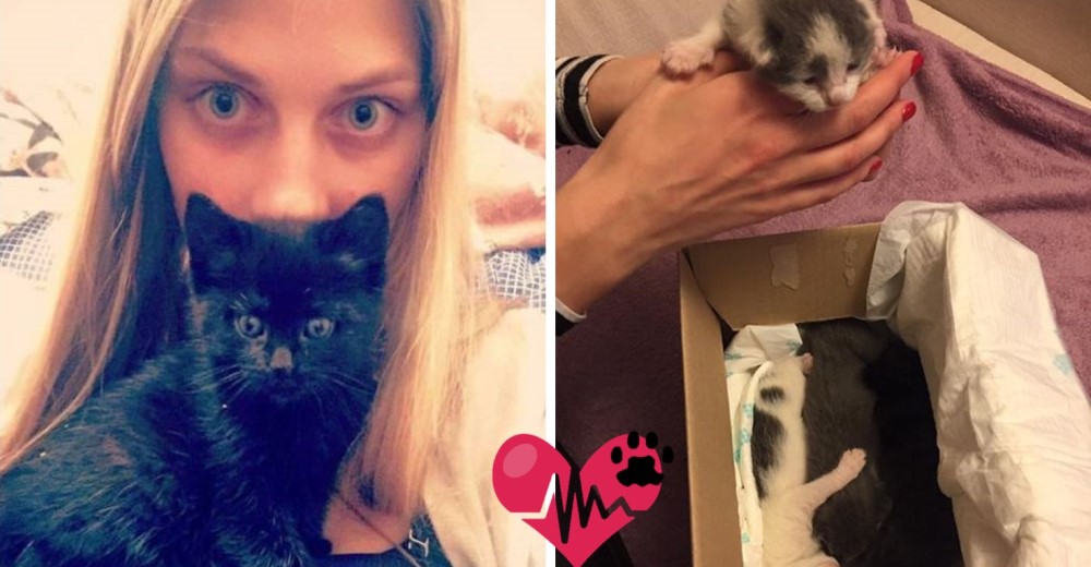 Zanda, la mujer que se ha convertido en la heroína de 350 gatos en los últimos 2 años