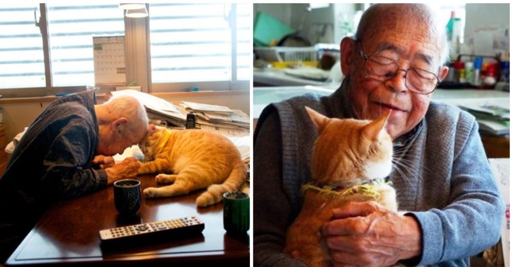 Mira cómo este gato alegra los días de un abuelito que vive bajo la sombra del Alzheimer