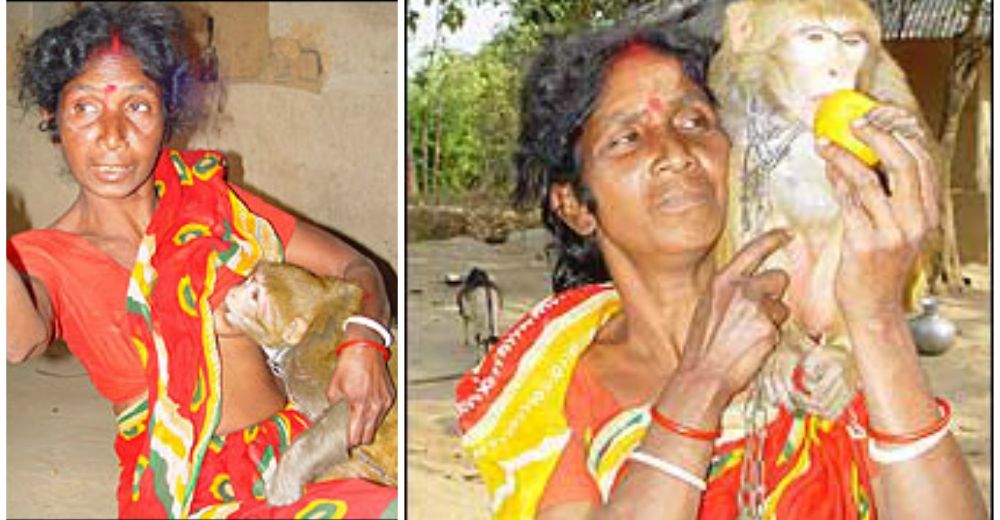 Una mujer en la India amamanta a su monito considerándolo un hijo más