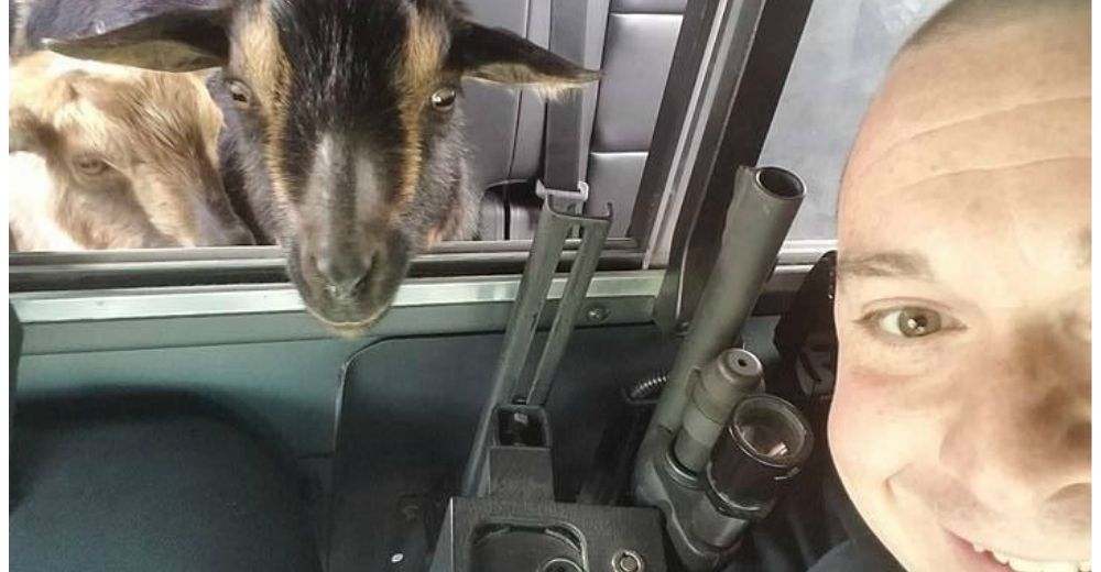 Este policía jamás pensó que gracias a esa llamada haría el «arresto» más divertido de su vida