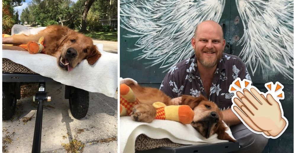 Este perrito estaba a punto de morir pero su padre consiguió el modo de devolverle la ilusión