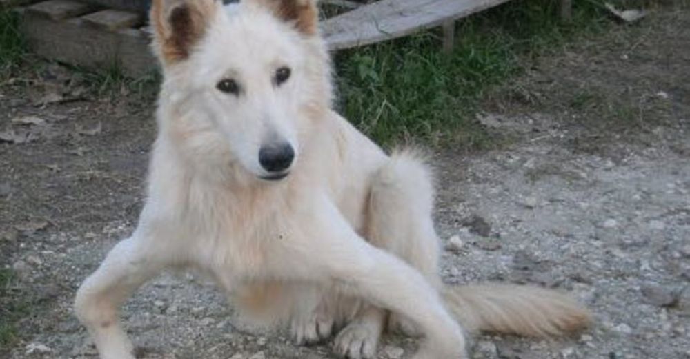 Tenía las piernas deformes por el abandono y la desnutrición pero entonces pasó lo inesperado