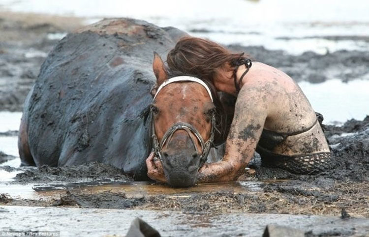 caballo