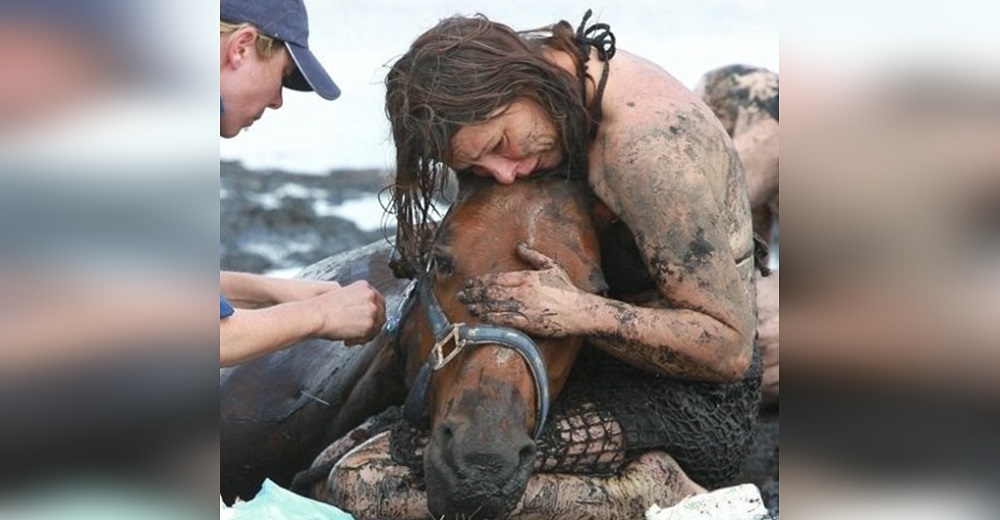 El impresionante rescate de un caballo tras 3 horas enterrado en arenas movedizas