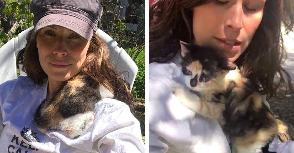 La gatita Lola encontró a su madre humana y decidió no separarse de ella La gatita Lola encontró a su madre humana y decidió no separarse de ella