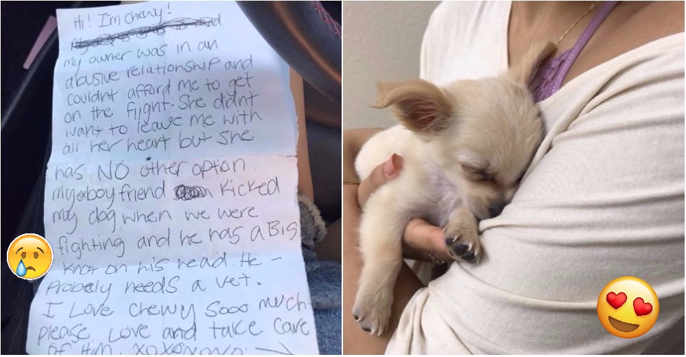 A este pobre cachorrito de 3 meses lo abandonaron en el aeropuerto con una desgarradora nota