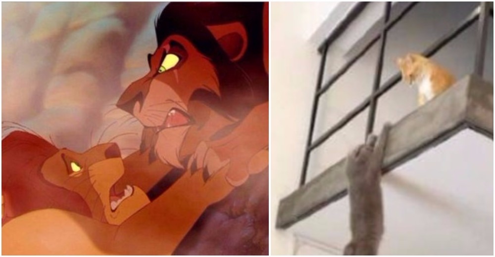 Dos gatos recrean una mítica escena de la película “El Rey León” y se vuelven virales