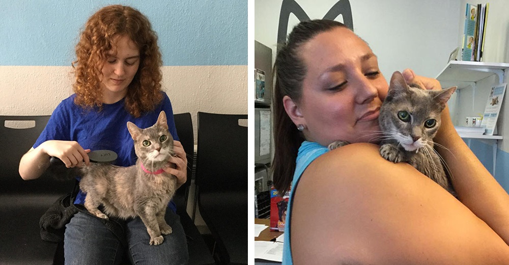 «Quiero al gato menos adoptable» – Recibió una sorpresa que lo cambió todo «Quiero al gato menos adoptable» – Recibió una sorpresa que lo cambió todo