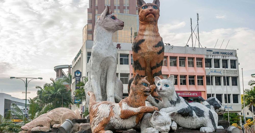 Kuching, la ciudad que tiene un museo dedicado a nuestros amigos felinos Kuching, la ciudad que tiene un museo dedicado a nuestros amigos felinos