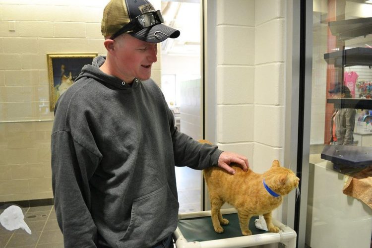 Lollypop Farm, the Humane Society of Greater Rochester nutmeg el gato mas triste del mundo saddest cat in the world encuentra hogar adoptado finds home sonrie smile