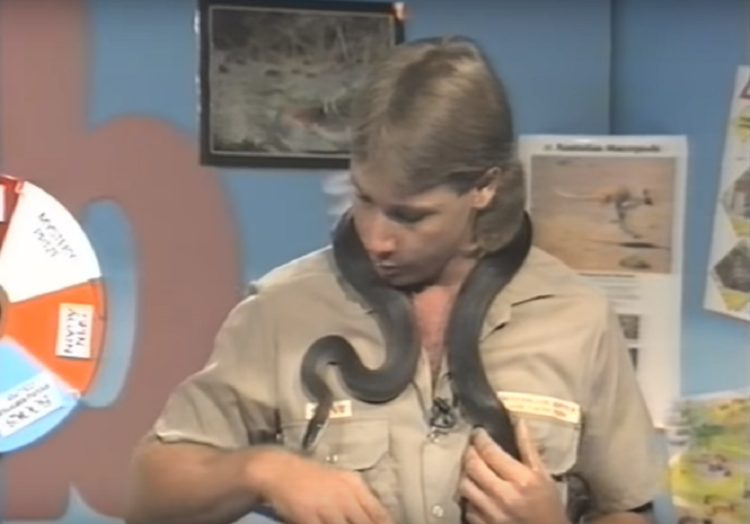 recuerdo de steve irwin cuando era joven mordido por una piton en plena entrevista bitten snake live