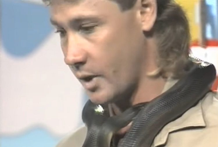 recuerdo de steve irwin cuando era joven mordido por una piton en plena entrevista bitten snake live