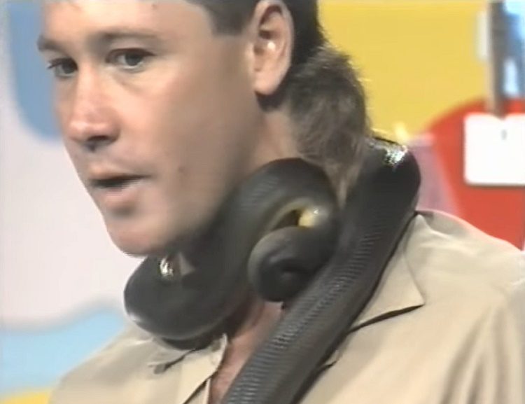 recuerdo de steve irwin cuando era joven mordido por una piton en plena entrevista bitten snake live