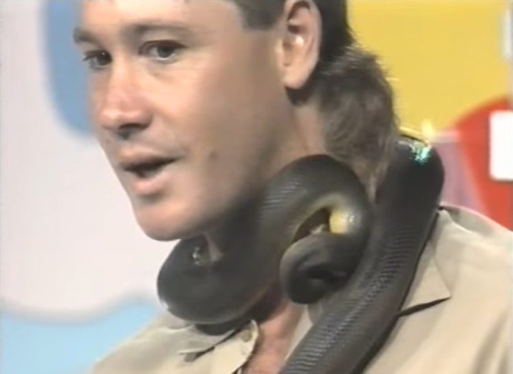 recuerdo de steve irwin cuando era joven mordido por una piton en plena entrevista bitten snake live