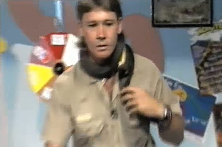 recuerdo de steve irwin cuando era joven mordido por una piton en plena entrevista bitten snake live