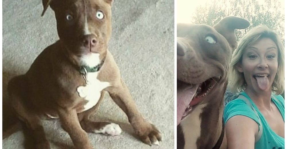Esta mujer estaba sumida en la tristeza, hasta que una perrita ciega vendría a cambiarlo todo Esta mujer estaba sumida en la tristeza, hasta que una perrita ciega vendría a cambiarlo todo