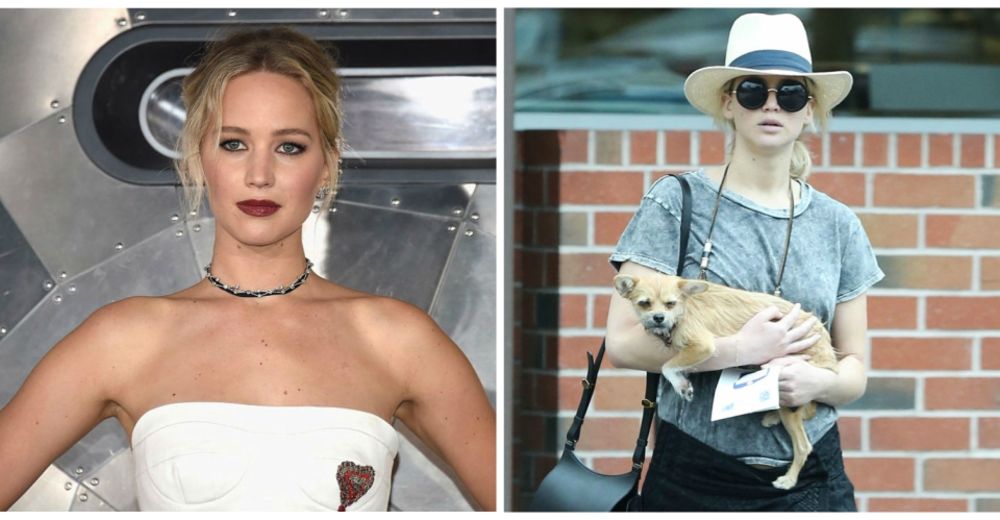 La inesperada reacción de Jennifer Lawrence cuando trataron de tocar a a su perrito La inesperada reacción de Jennifer Lawrence cuando trataron de tocar a a su perrito