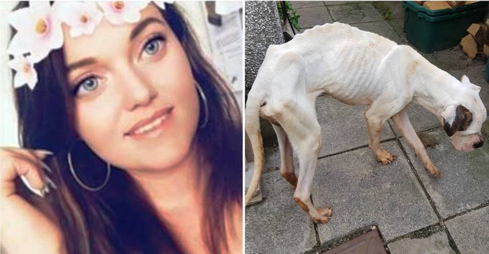 Abandona su casa tras romper con su pareja y encierra a sus perros sin agua ni comida Abandona su casa tras romper con su pareja y encierra a sus perros sin agua ni comida