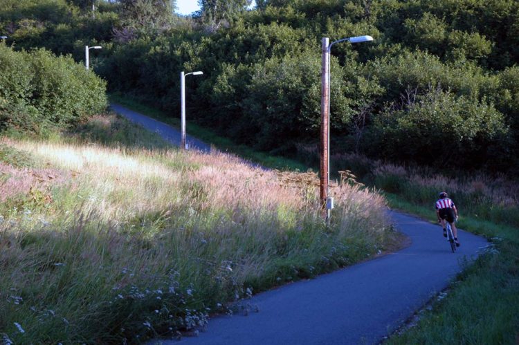 ciclista se encuentra con un oso negro en el medio del camino y de la sorpresa cae de bruces hacia unos arbustos sendero alaska Kincaid park cyclist faces bear road