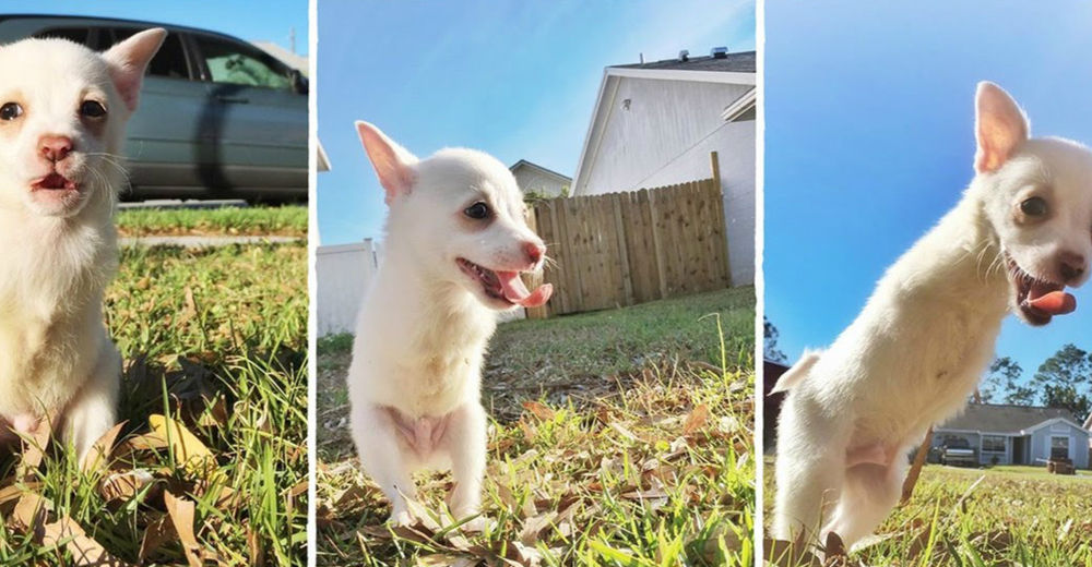 Nació con un terrible defecto, pero para él no hay obstáculo que con amor no se pueda vencer Nació con un terrible defecto, pero para él no hay obstáculo que con amor no se pueda vencer