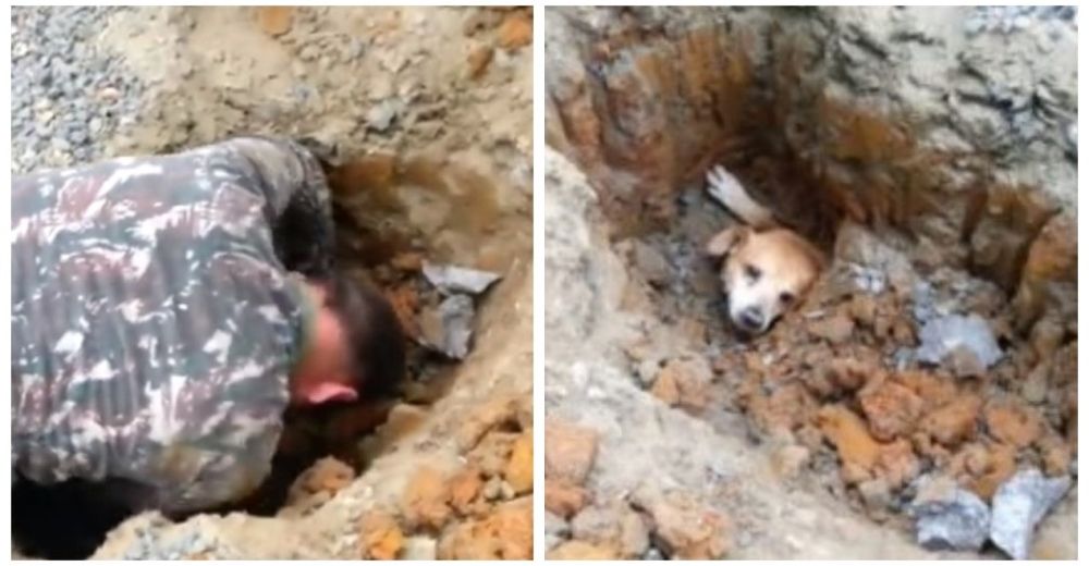 No le importó resultar herido con tal de rescatar a su perro atrapado en una tubería No le importó resultar herido con tal de rescatar a su perro atrapado en una tubería
