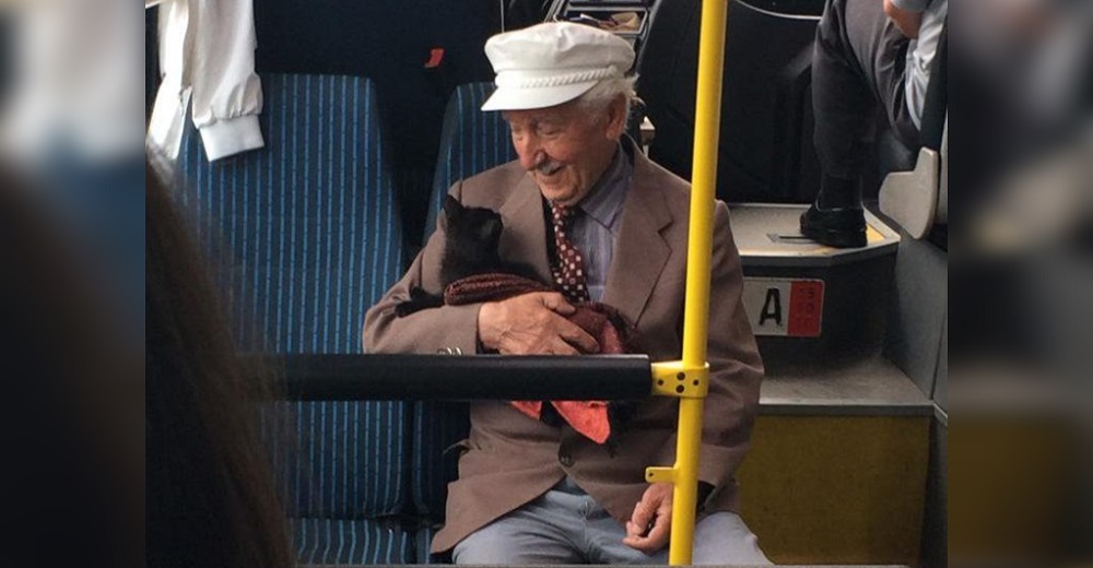 Captan a un anciano con su «bebé» felino en brazos conmoviendo a todos en el autobús