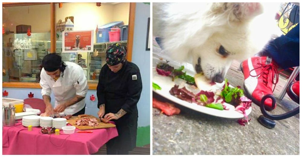 Un chef hace una gran cena de acción de gracias para unos invitados «muy especiales» Un chef hace una gran cena de acción de gracias para unos invitados «muy especiales»