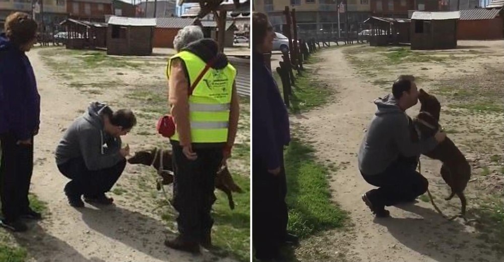 Conmovedor reencuentro de un perrito con su dueño tras 3 años de separación