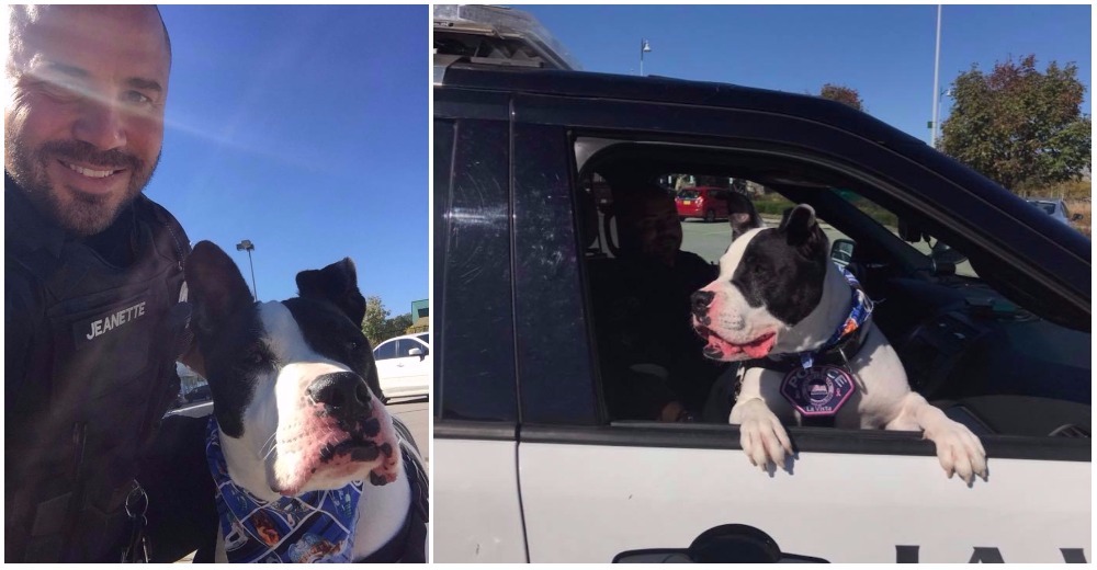 «Canino por un día», la iniciativa de la policía de Nebraska que ha movido corazones «Canino por un día», la iniciativa de la policía de Nebraska que ha movido corazones